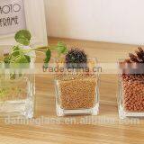 Square Hydroponic Succulent Plants Flowerpot Glass Vase thumbnail-2