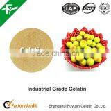 Beef Leather Gelatin/industrial Gelatin/gelatin Powder thumbnail-1
