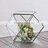 Round Terrarium Glass. Geometric Glass Terrarium Wholesale Container thumbnail-3
