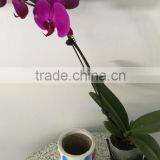 Direct Manufacture Rolling Baby Products Vinyl Material Labels Self Adhesive Stickers Printing thumbnail-4