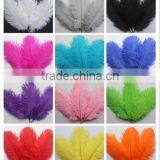 Natural Goose Feather Floating 10-15cm thumbnail-1