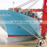Sea Shipping Xiamen/fuzhou/ningbo/guangzhou/shenzhen/fuzhou to Odense
