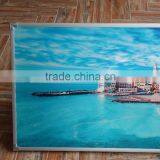 Decorative Heater Flat Panel Radiant Electric Far Infrared Wall Mounted 500W thumbnail-3