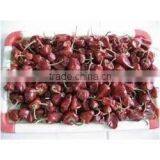 Round Chilli From SouthIndia thumbnail-6