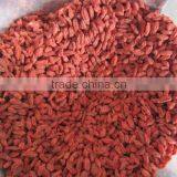 Dried Goji Berry