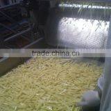 FROZEN FRENCH FRIES (6x6, 7x7 , 9x9 . 10x10 , 13x13 ,14x14 Mm) thumbnail-1