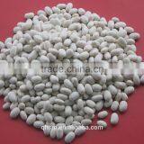 Export Agriculture Product White Kidney Beans thumbnail-2