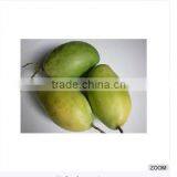 New Crop 2015 TOP Supplier Cheap Price Fresh Yellow Green Keo Mango thumbnail-1