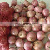 China New Crop Fresh Onion thumbnail-3