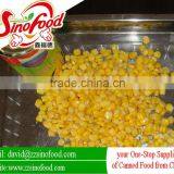 New Crop Sweet Corn Vacuum Packed