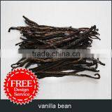Vanilla Bean