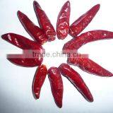 Bullet Chilli Hot Spicy Dried Red Chilli Chaotian Chilli Dried Fruit thumbnail-1