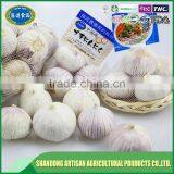 Good Price of Single Clove Garlic Packing With ISO9001 Certificate thumbnail-5