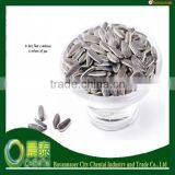 In Shell 50g/280p 909 American Hot Sell 24/64 Sunflower Seeds thumbnail-1
