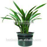 Adding Sand to Clay Soil thumbnail-6