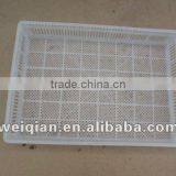 Incubator Hatchery Basket Small Hatchery Box Size:59*41*12cm