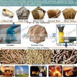 China Supplier Munch Straw Rice Husk Pellet Mill thumbnail-3