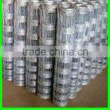 Livestock Metal Fencing for Cattle thumbnail-1