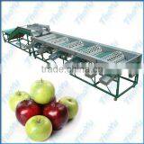 Thoyu Brand Salable Automatic Apple Sorting Machine by Size(SMS: 0086-15903675071)