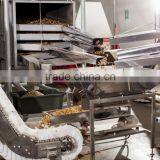 Walnut Kernel Multiple Layer Stainless Steel Conveyor Dryer thumbnail-2