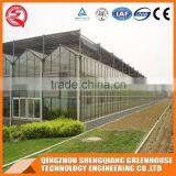 Agriculture Glass Greenhouse With Hot Dip Galvanized Frame for Sale thumbnail-4