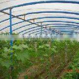 PE/EVA Agricultural Plastic Film thumbnail-1