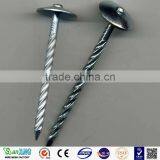 Galvanized Big Head Nail Screw Low Price thumbnail-1
