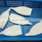 Frozen Pacific Squid Tube thumbnail-3