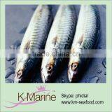 China Supplier Sea Frozen Mackerel Fish Lot Number#kmw4020 thumbnail-1