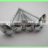 2.5'' Umberlla Roofing Nails, 25kg per Carton/50kg/gunny Bag thumbnail-2