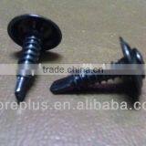 Made in Taiwan Steel Stainless Steel Copper TRIM OVAL HEAD PHIL WITH SPECIAL WASHERSELF DRILLING SCREW