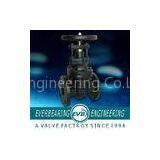 10k Non Rising Stem Brass, Bronze Seat Ring Ductile Iron, Cast Iron Gate Valve With JIS B2212 Flang thumbnail-1