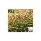 Rice Bran Extract Natural Ferulic Acid 98% thumbnail-1