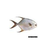 Hot(seafood) Mold thumbnail-1