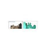 Cummins Diesel Generator(CE ISO Approved)