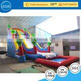 Inflatable Slide,inflatable Jumping Castle,inflatable Bounce Castle thumbnail-3