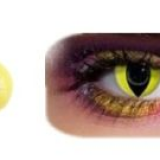 New Arrival Yellow Cat Eye Crazy Contact Lens