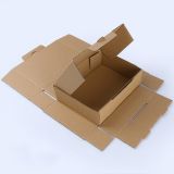 Take Away Food Packing Box Corrugated Delivery Box