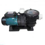 Swimming Pool Powerful Pump
