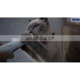 Butterfly Knot Buckle Bell Pet Collar Leash Training Dog Cat Pulling Rope Pet Neck Chain Pet Supplies thumbnail-1