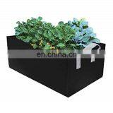 Strawberry Potato Felt Black Grow Bags thumbnail-2