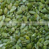Pumpkin Seed thumbnail-1