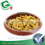 Supply Kunyit With Low Price thumbnail-1