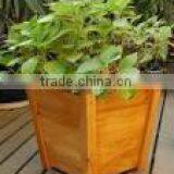PERFECT QUALITY - Hollywood Style - Indoor & Outdoor Pool Planter - Hotel Furniture thumbnail-1