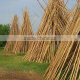 Tien Phuong Trading And Manufacturing Co., Ltd company overview - view 1 thumbnail