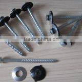 Assembled Roofing Nail