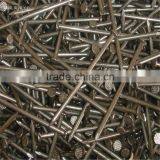 China Nail With Free Samples