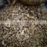 Galangal, Slice Dried Galangal From Indonesia is the Best thumbnail-4