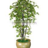 Imitation Maple Trees