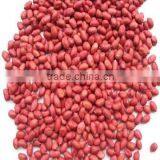 70/80 Red Skin Peanut Kernels thumbnail-1